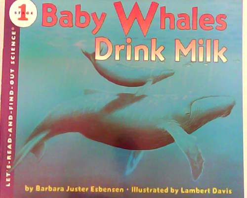 Baby Whales Drink Milk